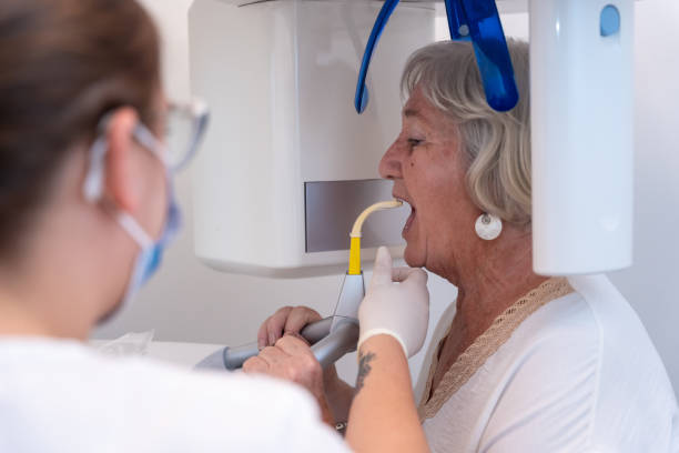 Best Emergency X-Rays and Diagnostics in Crystal Lake, FL